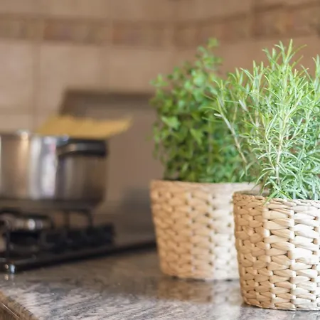 Delle Rose צ'יביטאנובה מארקה